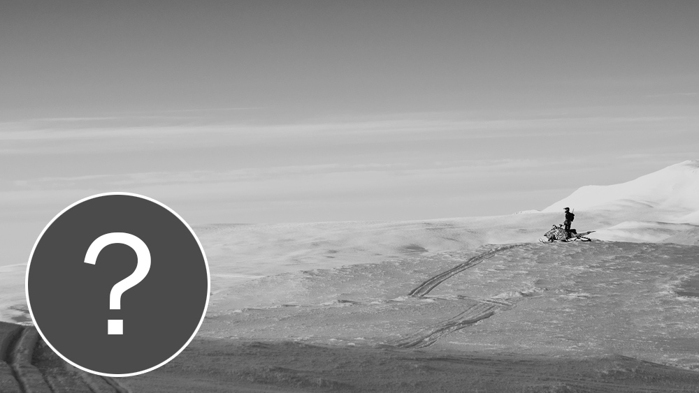 Du, eller din kompis, här?